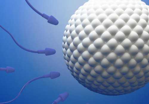 告别喂养烦恼：厦门试管婴儿的恒温智能奶瓶新选择