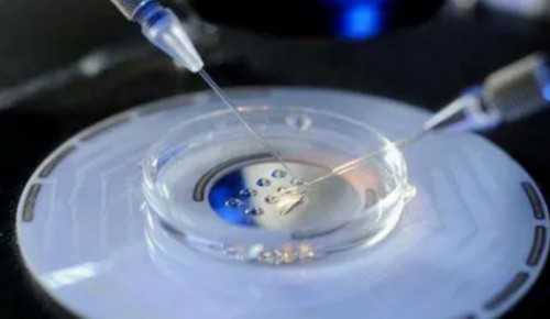 娃娃肚肚不胀气！专家揭秘纤维喂养黄金法则