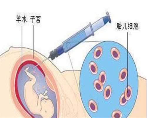 48岁供卵：开启生命新篇章的钥匙