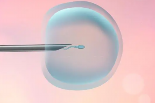 解析试管婴儿长方案如何精细调控身体激素水平，助您优生优育