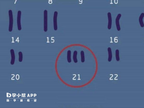 48岁女性如何通过供卵实现生育梦想：科学、伦理与费用解析