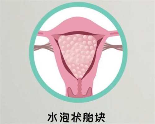 专家解读：供卵成功率与哪些因素息息相关？